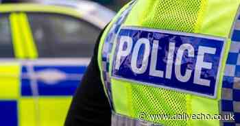 Man caused nearly £100 worth of damage to police van days before Christmas