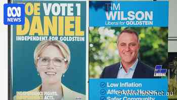 Live: Goldstein vote count narrows to 258 lead for Liberal with 500 votes left to tally