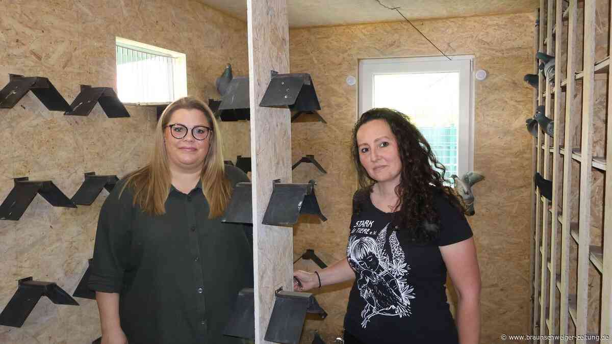Hier können es sich Salzgitters Tauben künftig gut gehen lassen