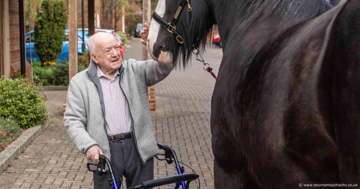 Shire horse pays surprise visit to care home resident