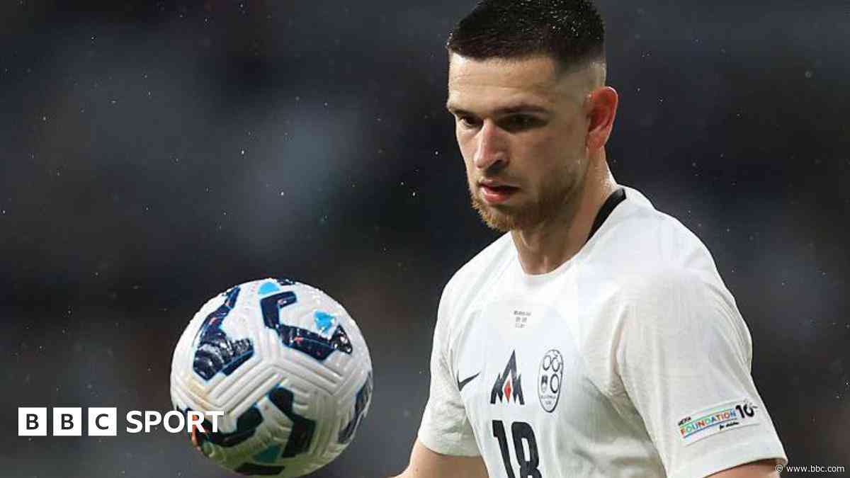 Vipotnik may face another busy summer