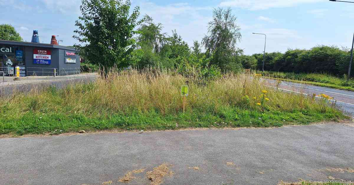 Grass cutting regime to be reconsidered after litter left in 'terrible state'