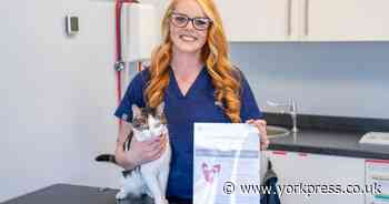 York vet soothes cats with classical music - but Bach is banned