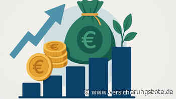 Versicherer melden stabile Finanzlage