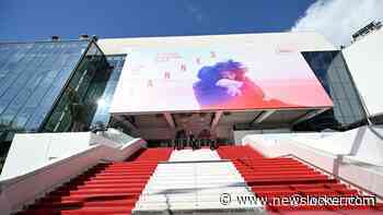 Knobbe hoopt dat Cannes-hit rietsnijders positieve aandacht geeft