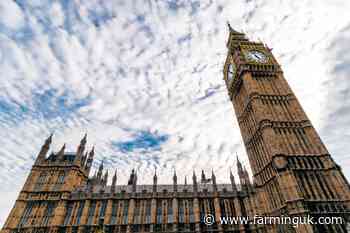 MPs urge delay to &#39;family farm tax&#39; as trust in government crumbles