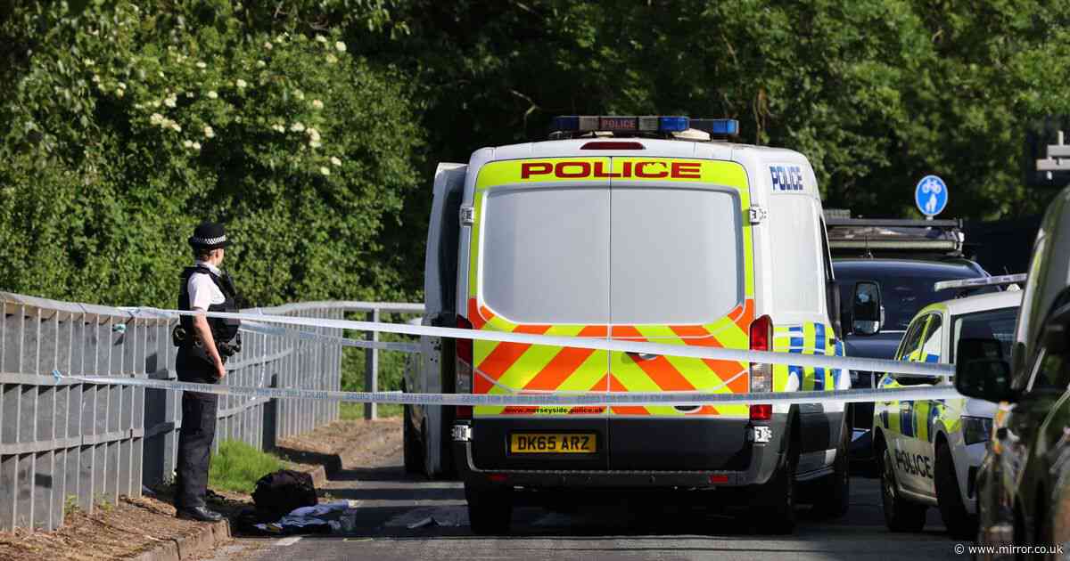 Cops screamed four words before shooting man suspected of stabbing man and woman