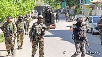 `6 Terrorists Killed In 2 Operations`: J&K Police Vows To `Finish Terror Ecosystem` In Kashmir