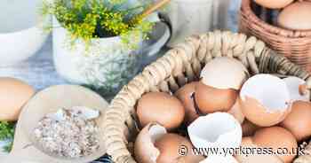 Expert shares egg and vinegar hack that will help plants thrive this spring