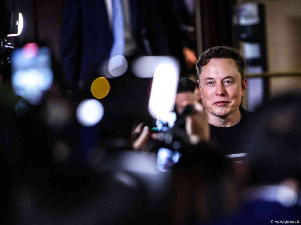 I dolori del giovane Elon
