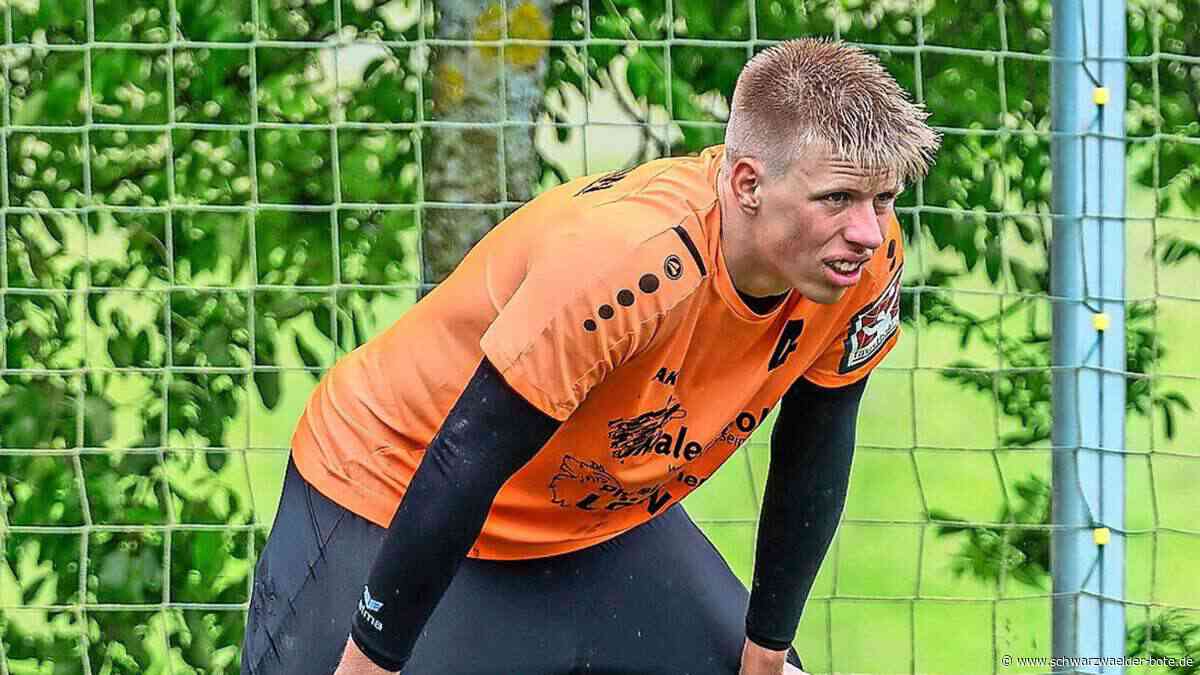 Faustball: Auf  den TSV Calw warten  unbequeme Gegner