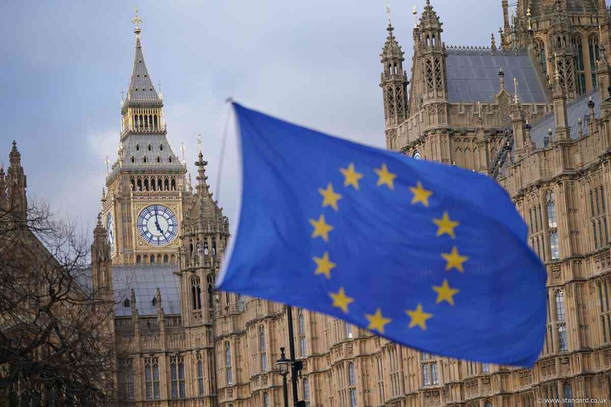 ‘No brainer' to give visas to young Brits and EU citizens under mobility scheme, say London business chiefs