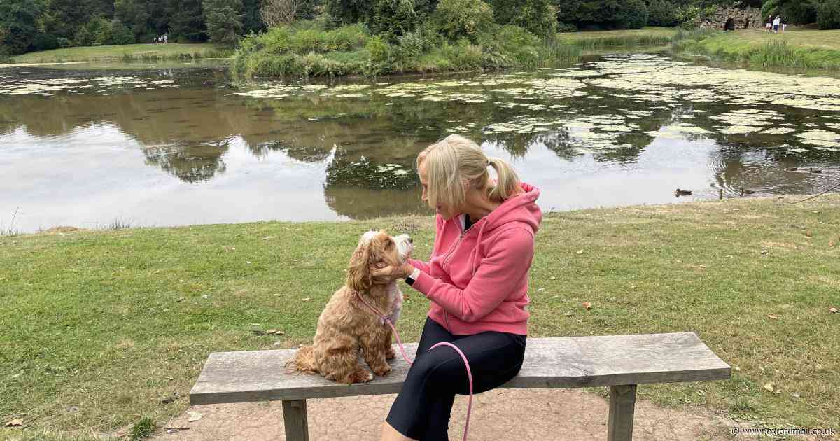 Dog walkers warned of walking in fields after woman charged in horror attack