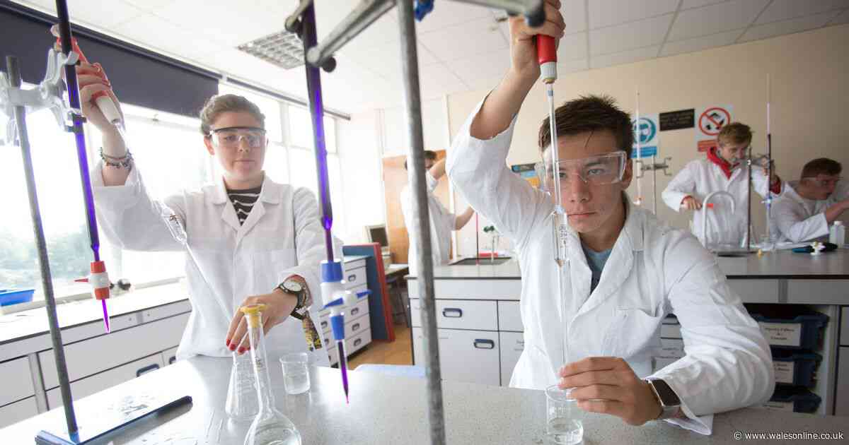 AD FEATURE: Set yourself up for success with NPTC Group of Colleges