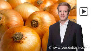 Er is sprake van een trendbreuk in de uienmarkt