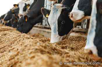 Farmers told to act now as unusually dry spring threatens feed supplies