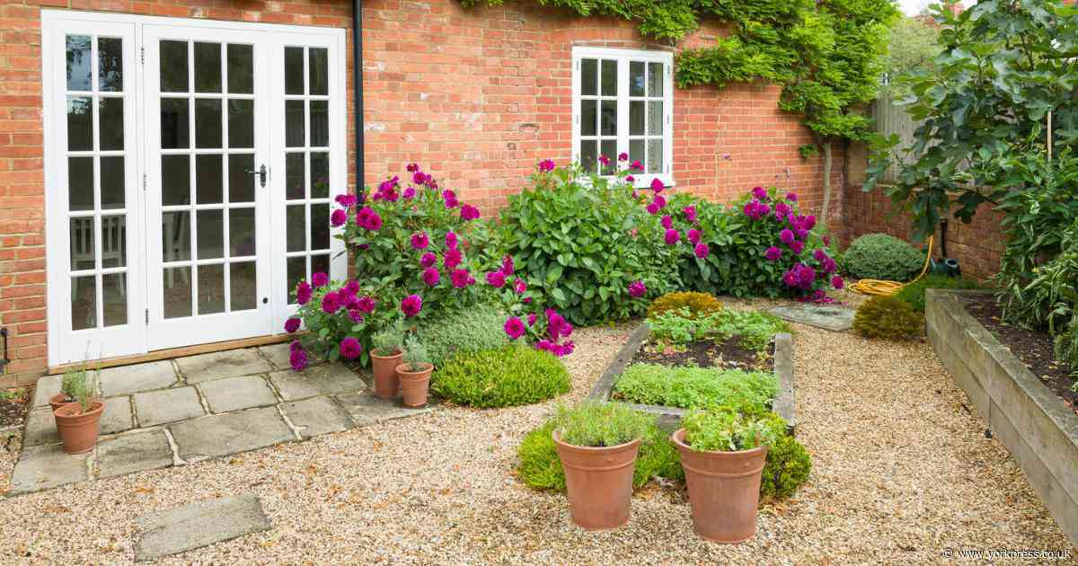 Expert shares best time to water your plants on a hot day