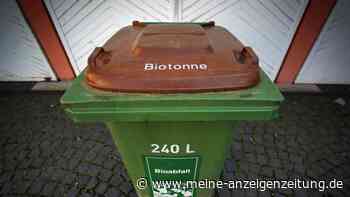 Papier in der Biotonne? Wann Zeitung, Bäckertüte & Co. rein dürfen
