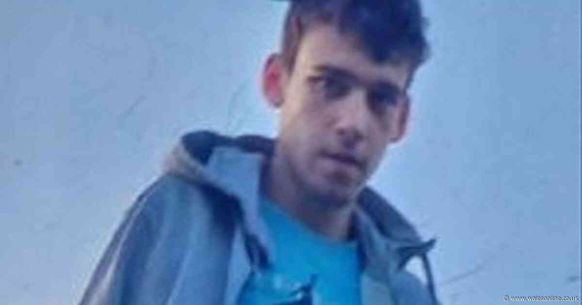 Police appeal for information as teenager goes missing