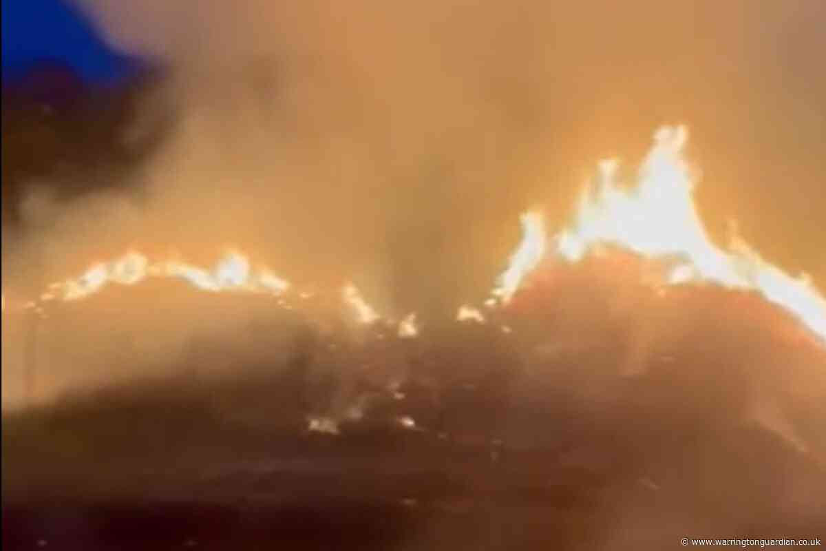 Video shows fire ripping through park as police urge people to report arsonists