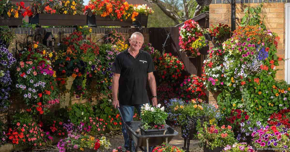 Bristol gardening expert's top tip to keep plants alive ahead of blistering dry weekend