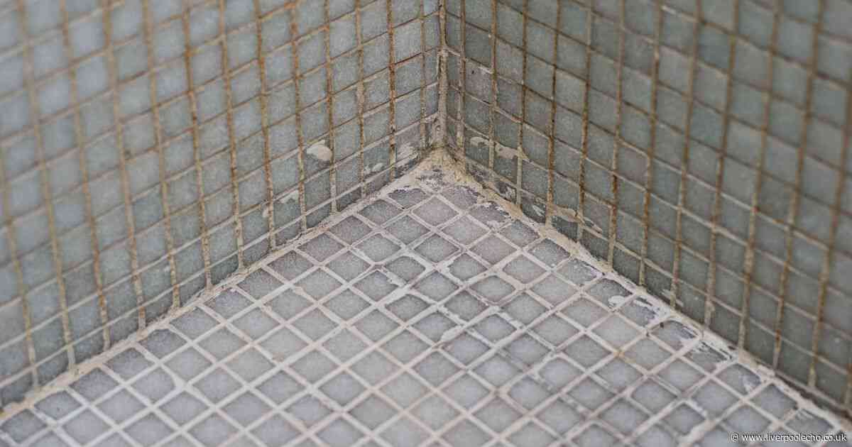 Swap bleach for natural item to get rid of shower grout mould in 10 minutes
