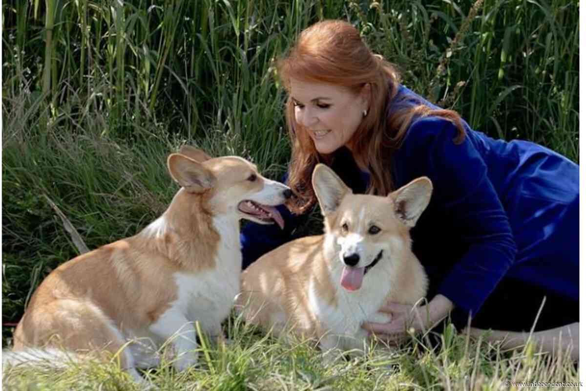 Sarah Ferguson ‘sure’ Queen Elizabeth speaks to her through her corgis