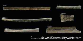 Snuff tube residues push back date of oldest hallucinogen use in Peruvian Andes