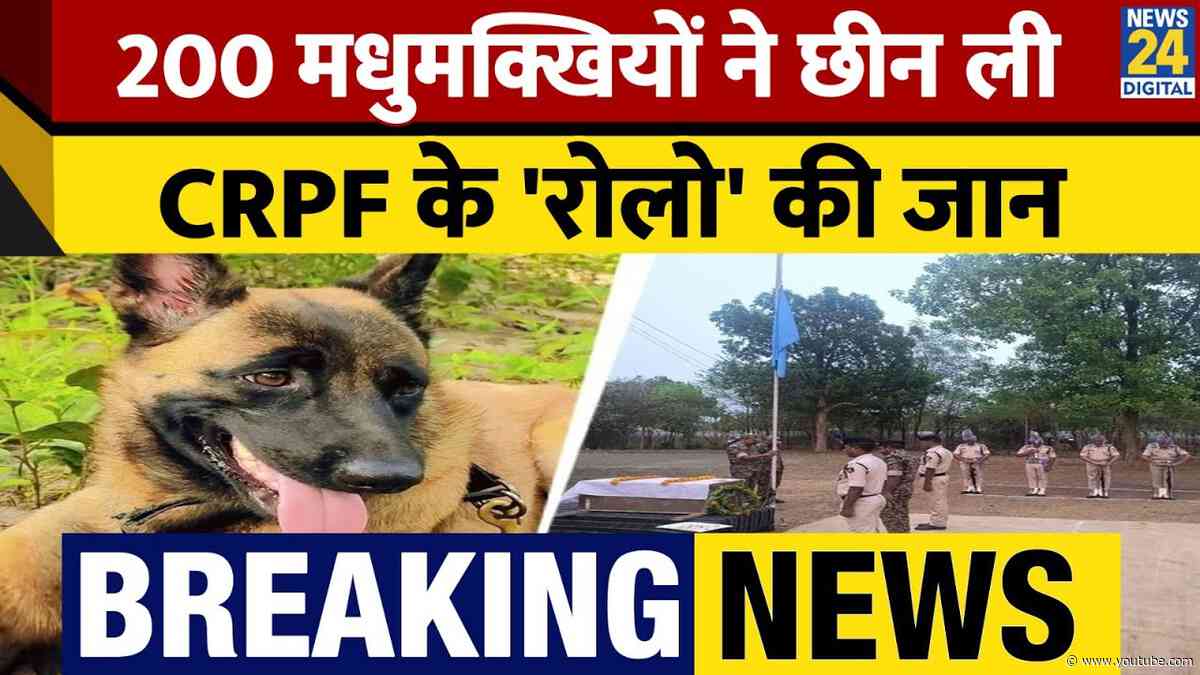 Breaking News: 200 मधुमक्खियों ने छीन ली CRPF के खोजी कुत्ते 'रोलो' की जान!
