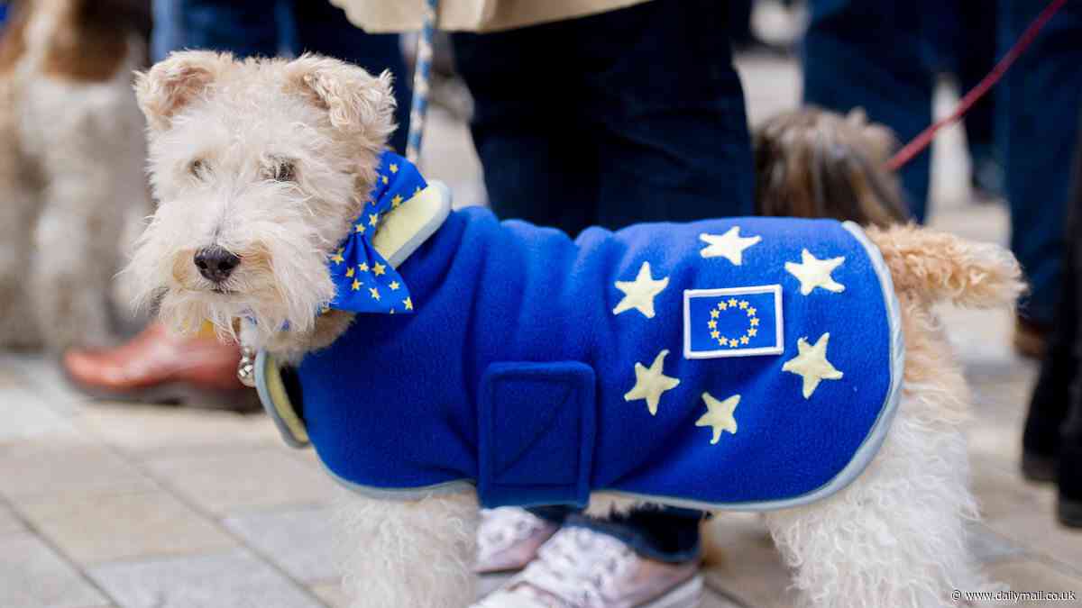 Britain 'has asked to rejoin EU's pet passport scheme' to cut cost of taking animals to the continent