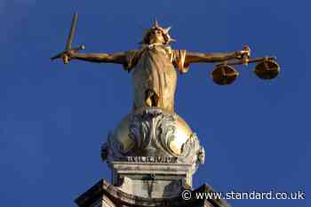 Group facing trial accused of causing £1m damage in Palestine Action protest