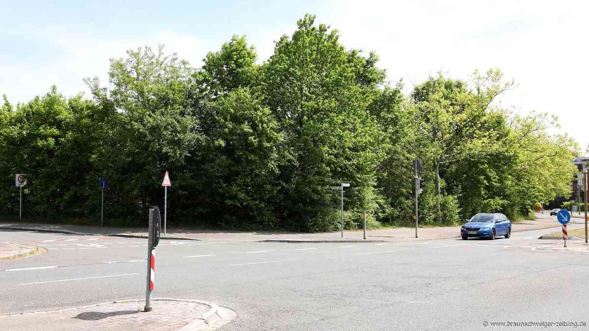 Wolfsburger Bauplatz liegt seit 50 Jahren im Dornröschenschlaf