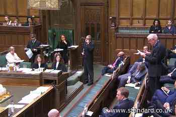 Care homes and hospices must have right to opt out of assisted dying, MPs hear