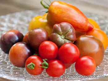 Growing Things: Getting to know heirloom cherry tomatoes