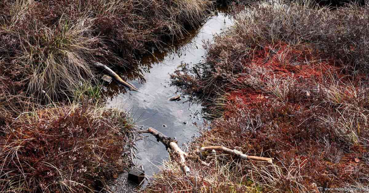 Verbände fordern mehr Geld für bayerische Naturschutzziele