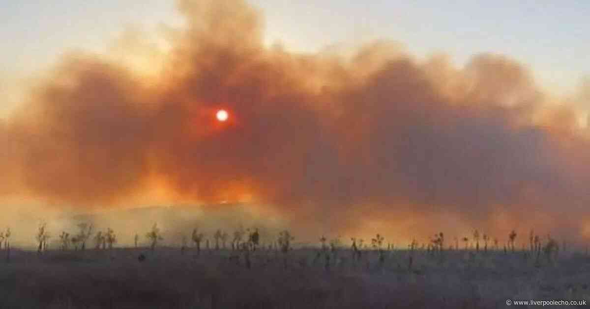 Police issue update after four suspects arrested over moorland fire