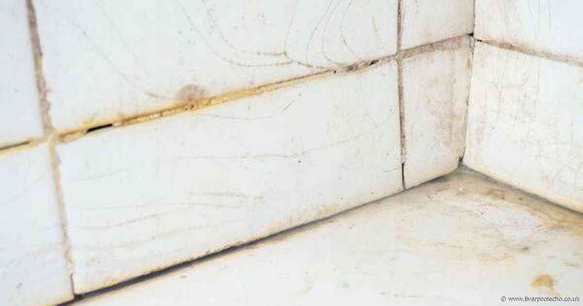 Mrs Hinch fans 'impressed' by £2.50 product that whitens badly stained tiles in minutes