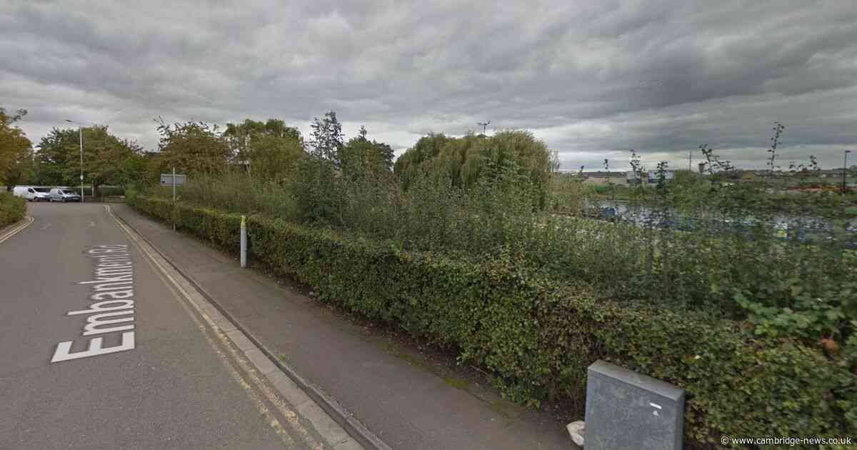 Firefighters tackle ‘deliberate’ tree fire in Cambridgeshire city
