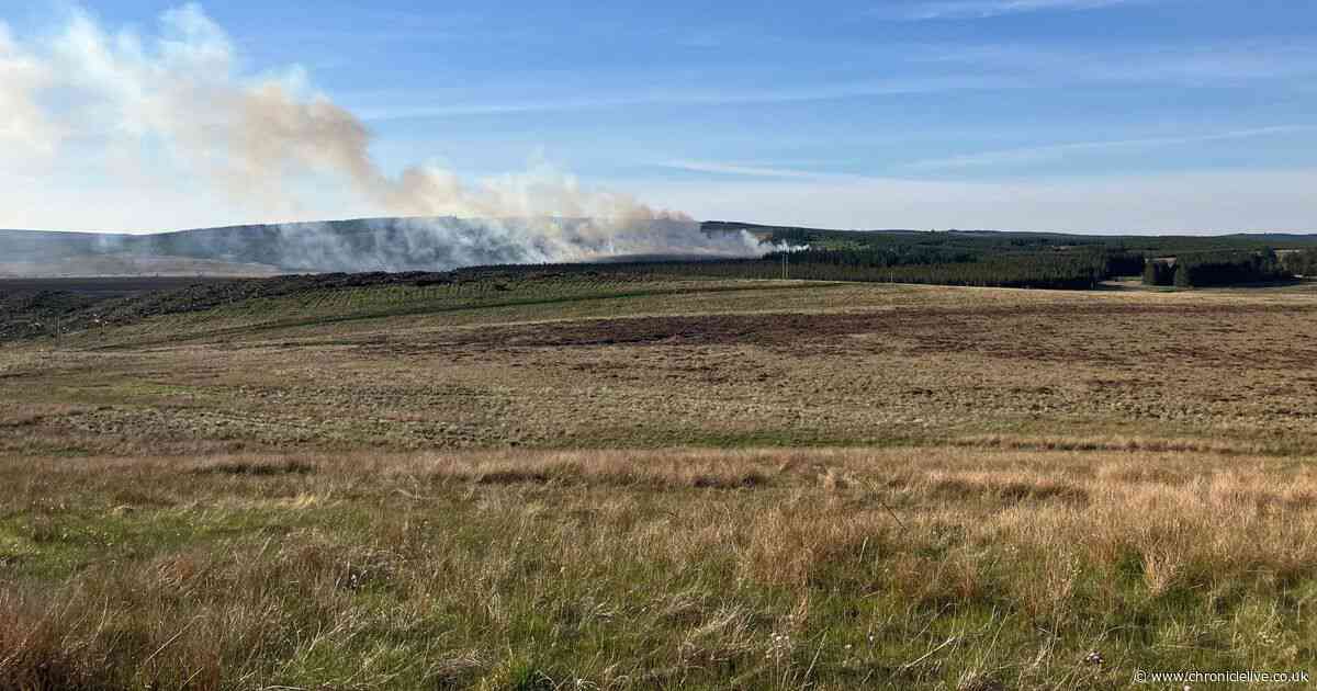 Northumberland high risk warning after RAF drafted in to battle Wark wildfire