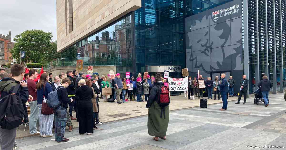 Newcastle University academics warn future of education 'will suffer' under threat of job cuts