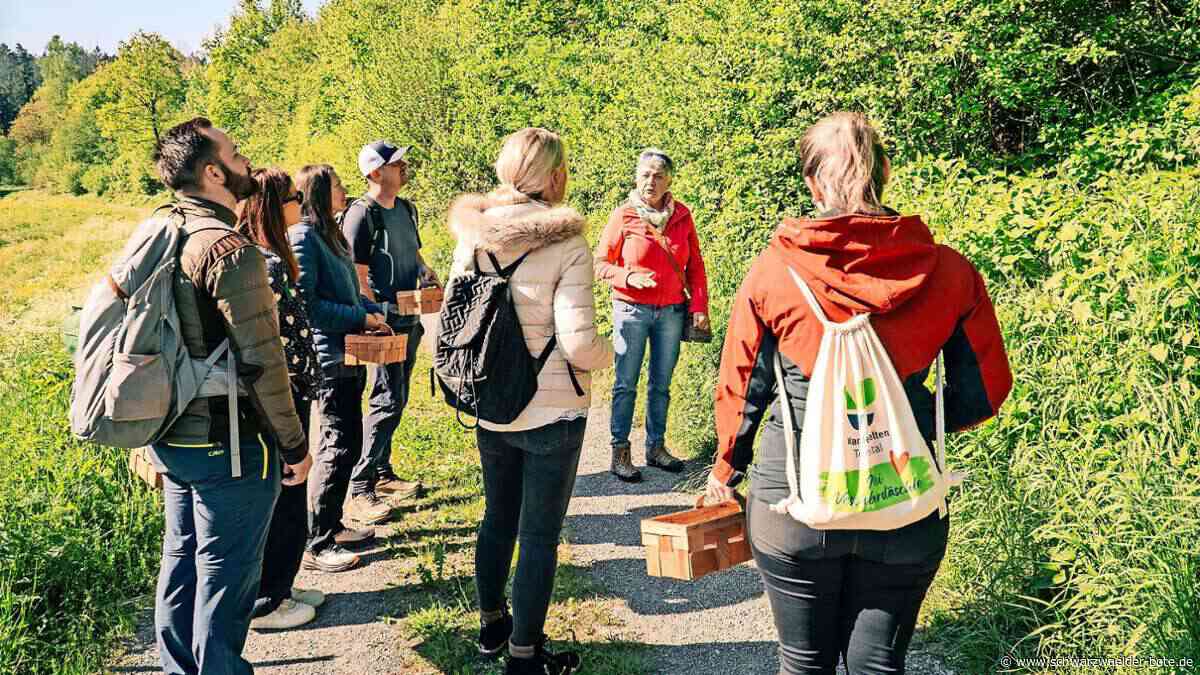 Social-Media im Nordschwarzwald: Drei Influencerinnen sollen  das Teinachtal hypen