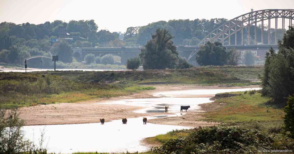 Unieke situatie in de rivieren: waterstand nu al enorm laag en dat is niet zonder gevolgen