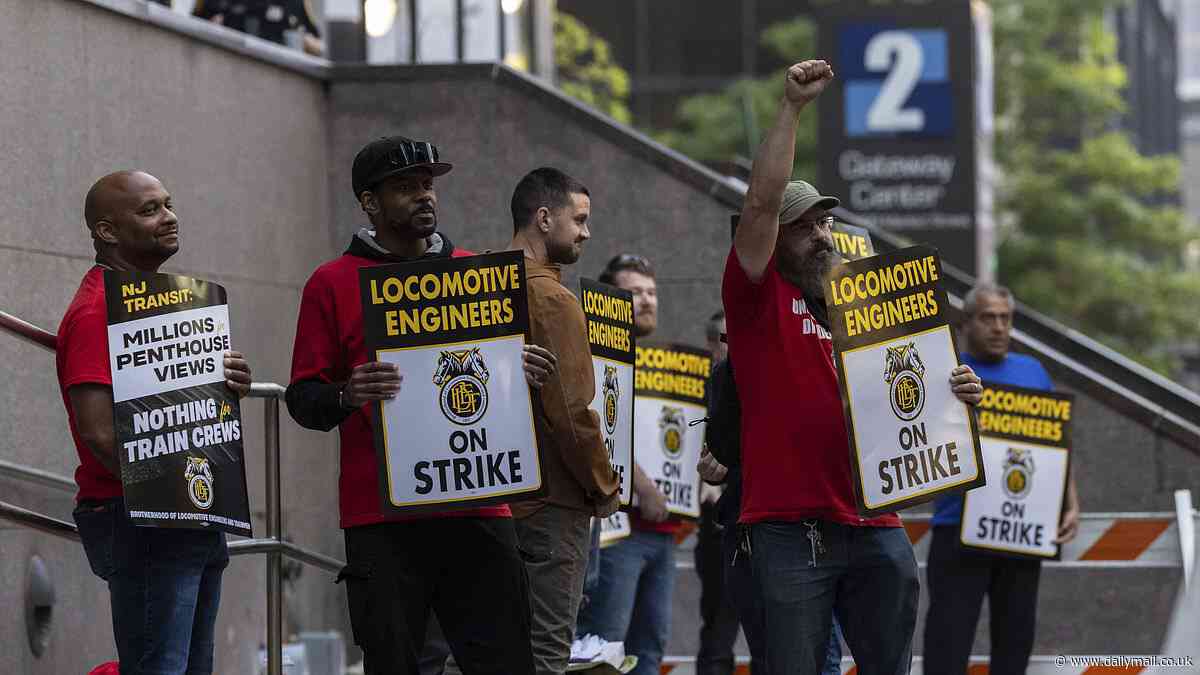 Mass travel chaos sparks MAYHEM in America's busiest city in worst in '40 years strike'