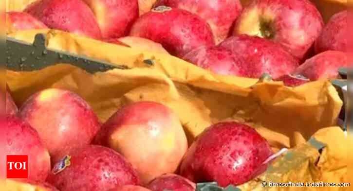 'It’s a message': Alwar fruit traders drop Turkish apples over amid nationwide boycott over Turkey's pro-Pakistan stand