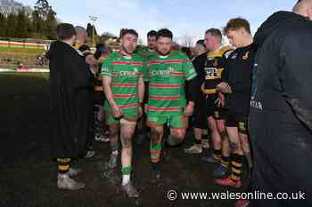 The verdict on Welsh rugby's controversial new competition as WRU resurrect talks with English