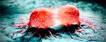 The Remarkable Cancer Cure Hiding in Plain Sight