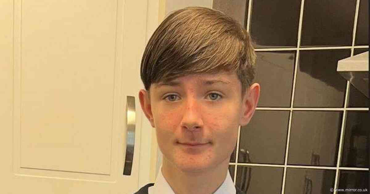 Teenager, 14, made silly 'split-second' decision - he paid with his life
