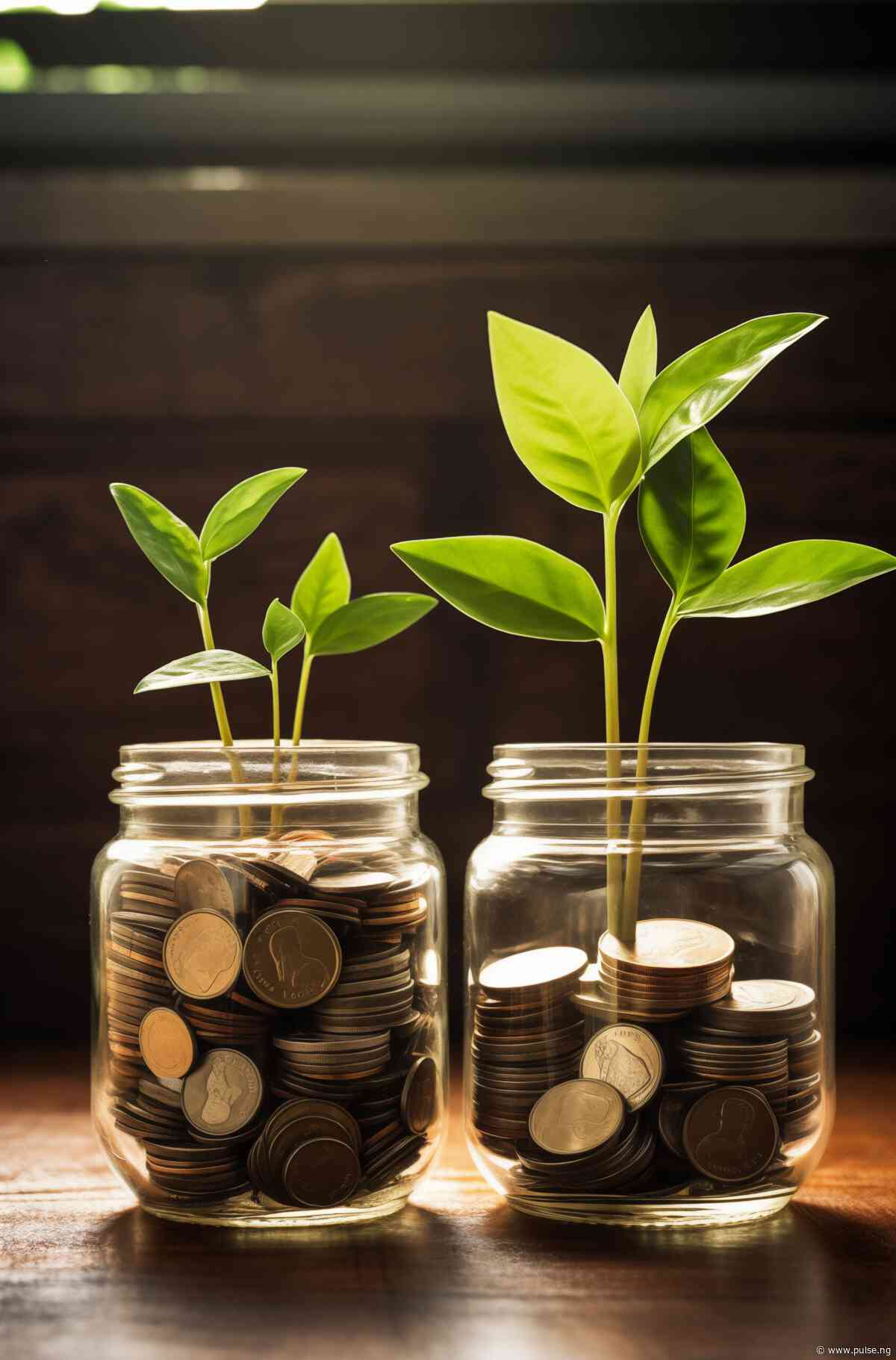 Best practices for securing loans from Nigerian microfinance banks