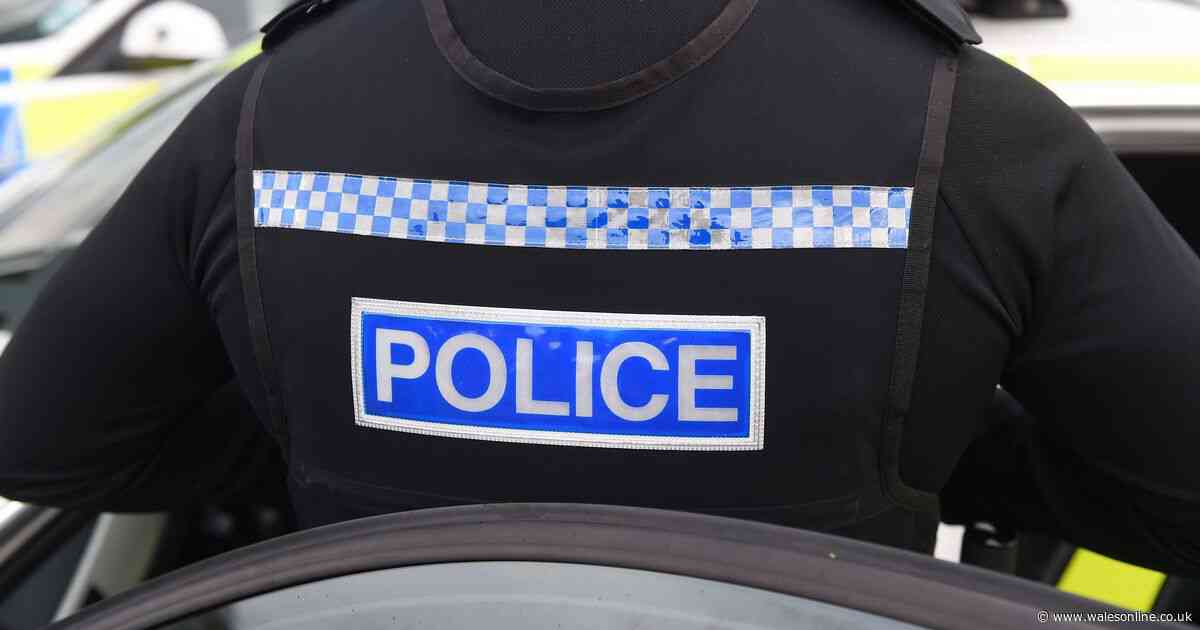 Pupil, 7, excluded from primary school after 'bringing in knife'