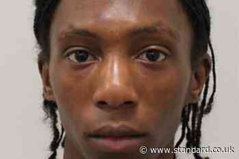 ‘Justice has been served’, say family of woman killed at Notting Hill Carnival